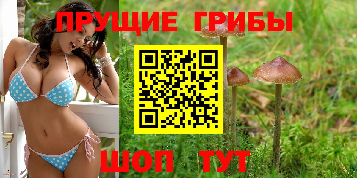 Псилоцибиновые грибы Magic Shrooms Тавда