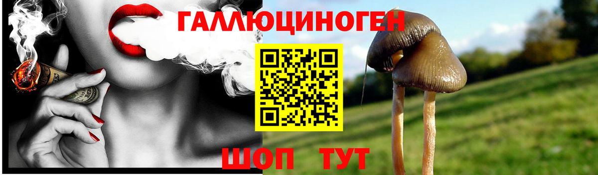Галлюциногенные грибы GOLDEN TEACHER  Псилоцибиновые грибы прущие грибы  Тавда  Вход с VPN 